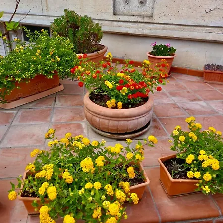 La Casa Dei Fiori Lägenhet Florinas
